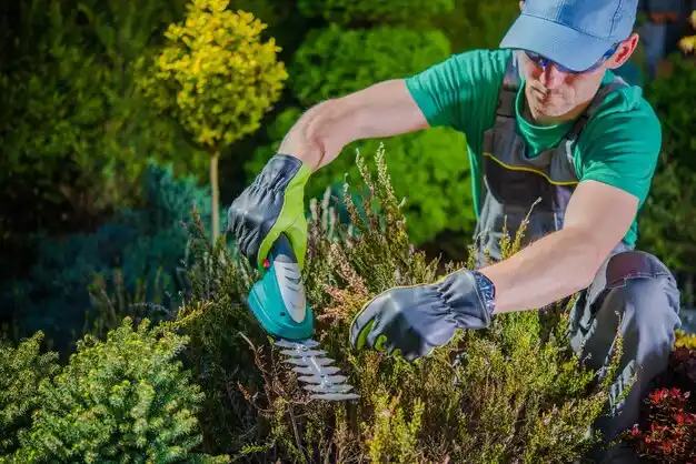 landscaping services Loyall